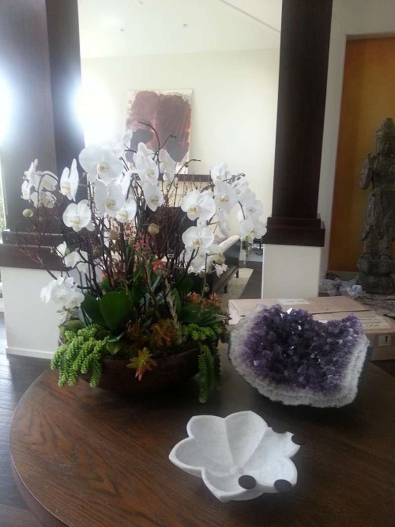 Home Decor 