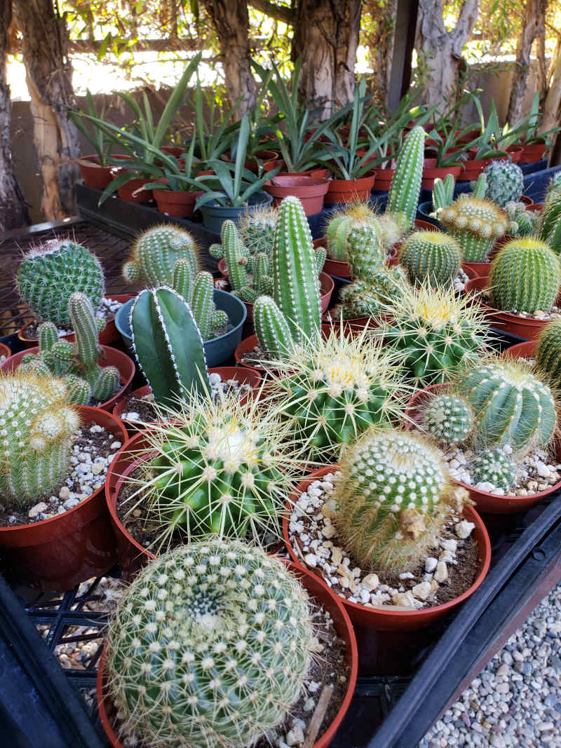 For the Garden