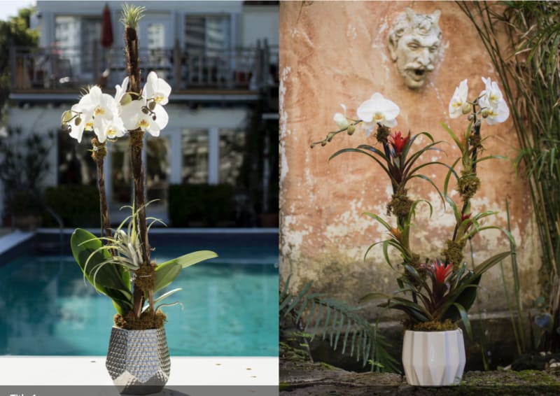 Shop flowers