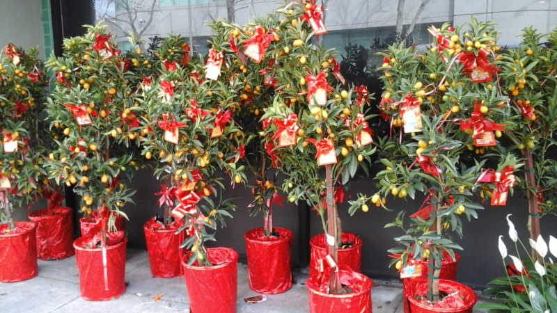 Special Holiday and Events