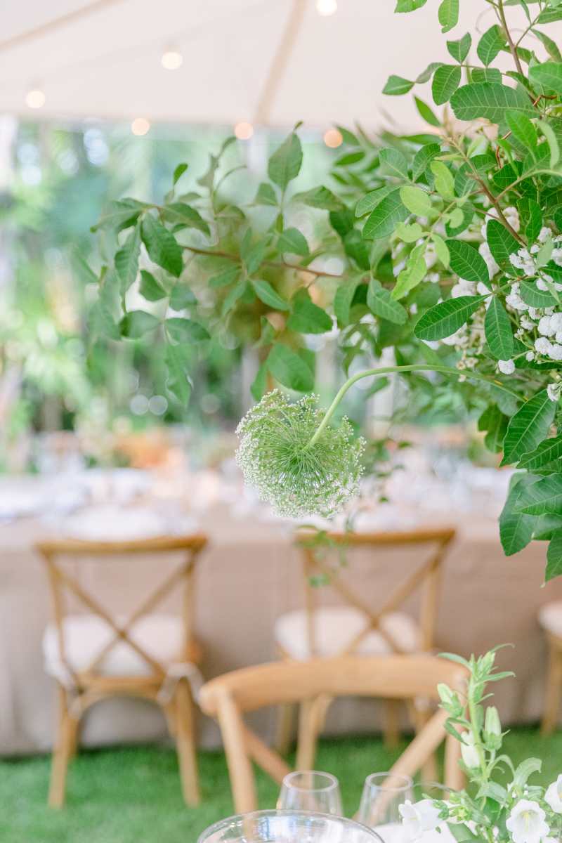 Rehearsal Dinner: Carolina and Felipe