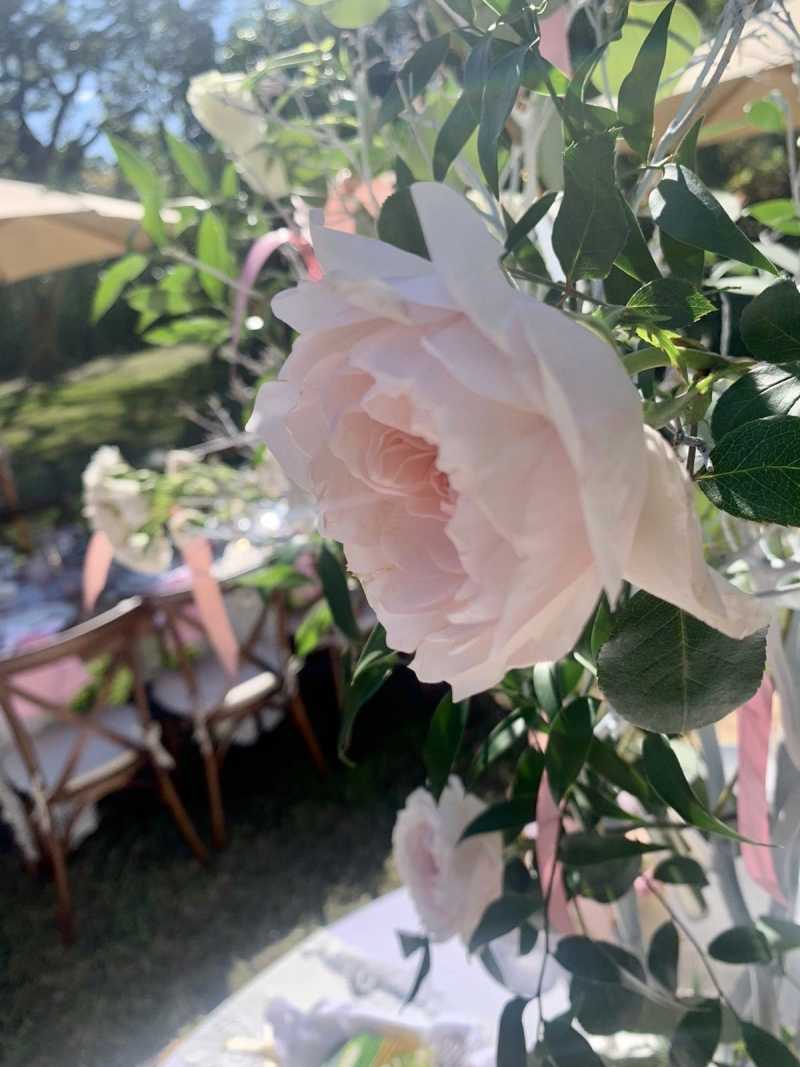 Bridal Showers and Engagement Parties