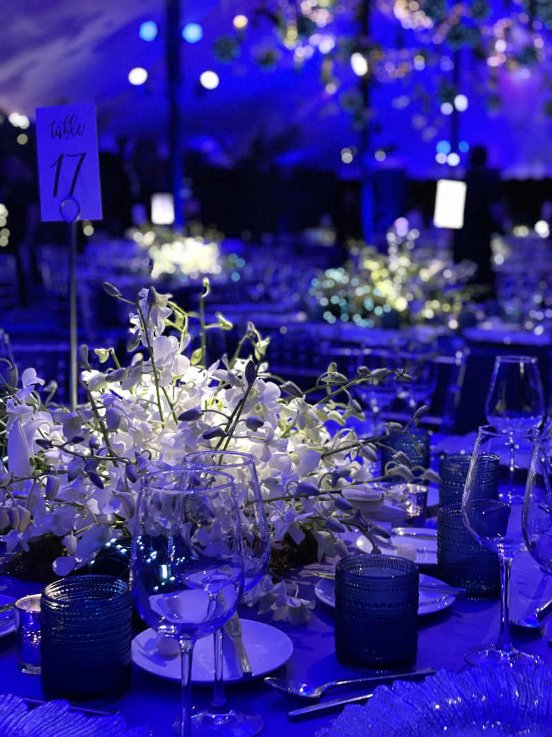 Fairchild Tropical Botanic Garden Annual Gala 2022