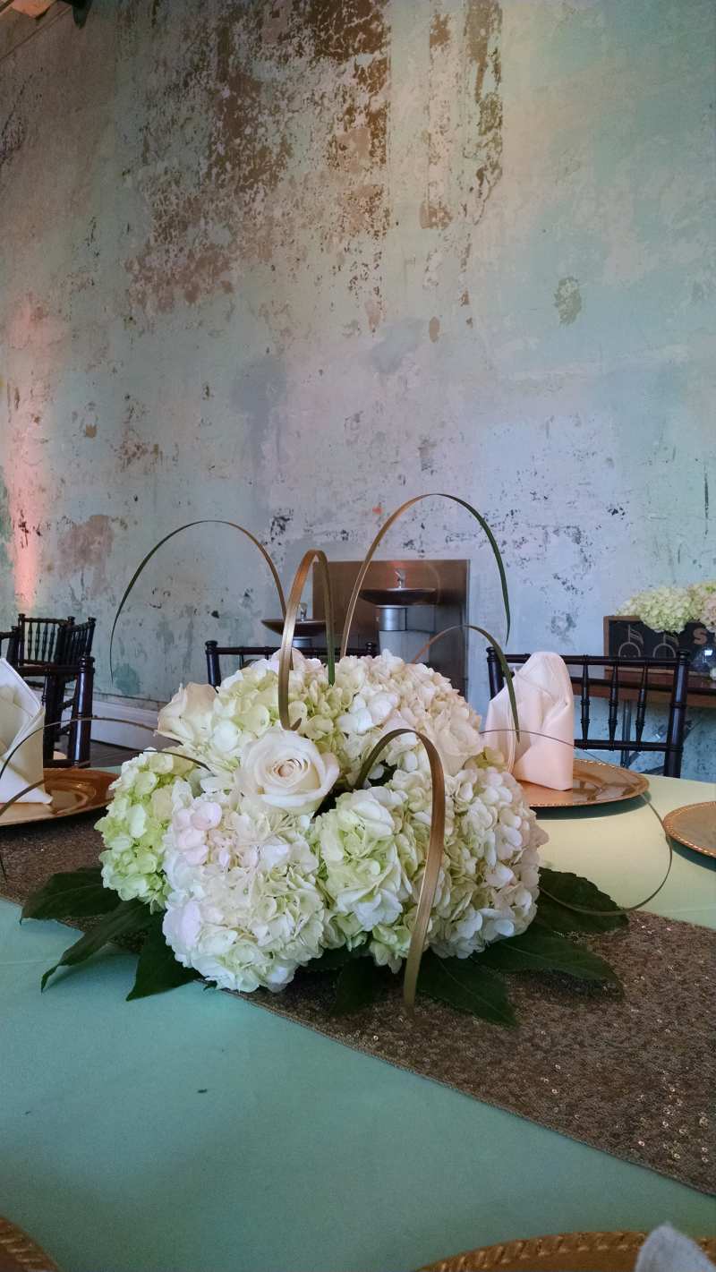 Hydrangeas