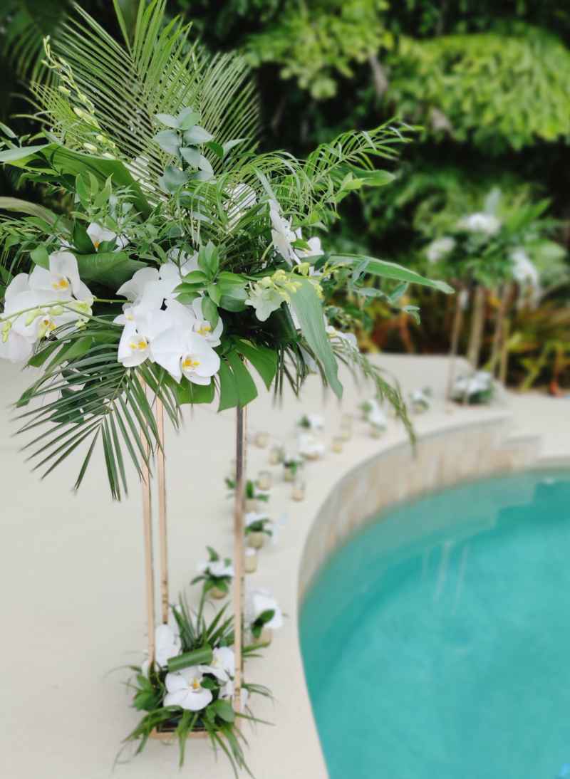 Orchids and Tropical Foliage