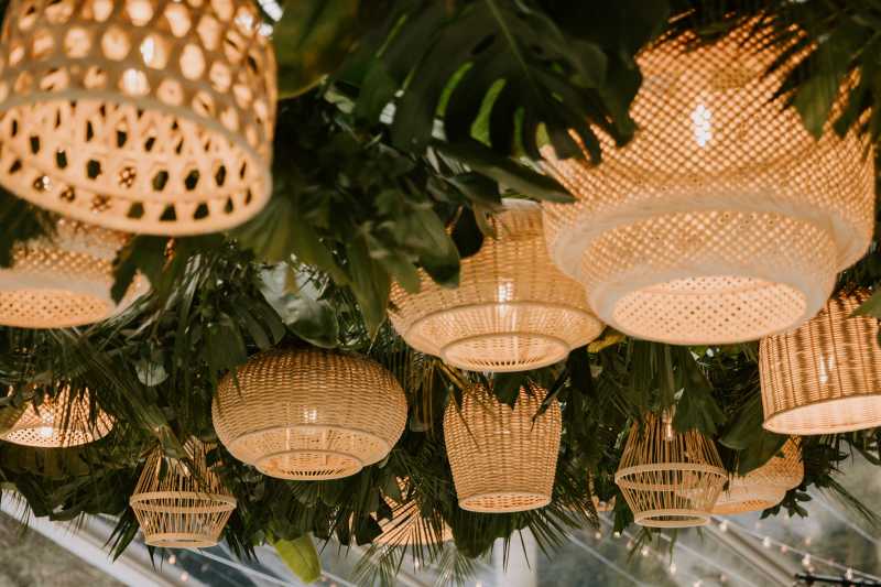 White Orchids & Tropical Greens Photos by  Meagan Puett