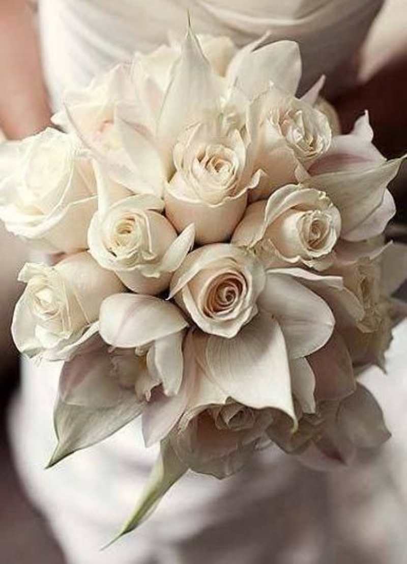 Brides