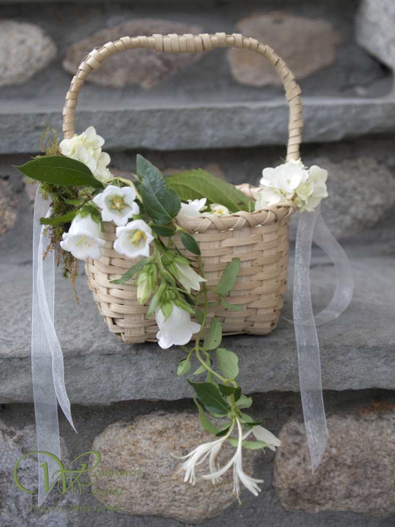 Flower Girl / Ring Bearer