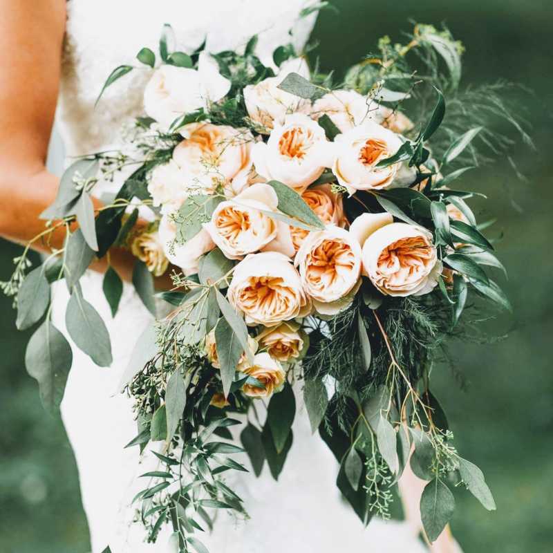Brides 