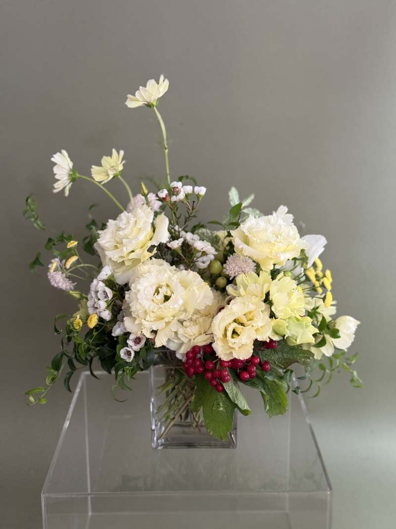 Tumbleweed Any Occasion Beauties