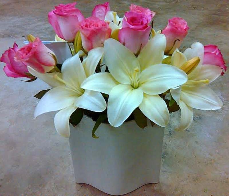 Mother's Day