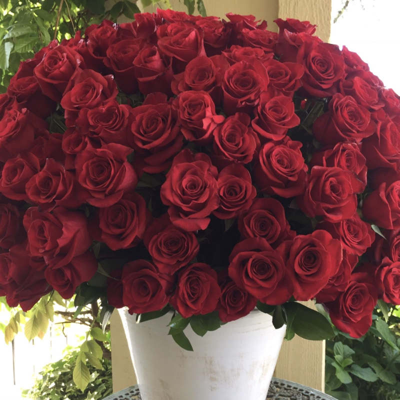 Valentine's Day / Romantic