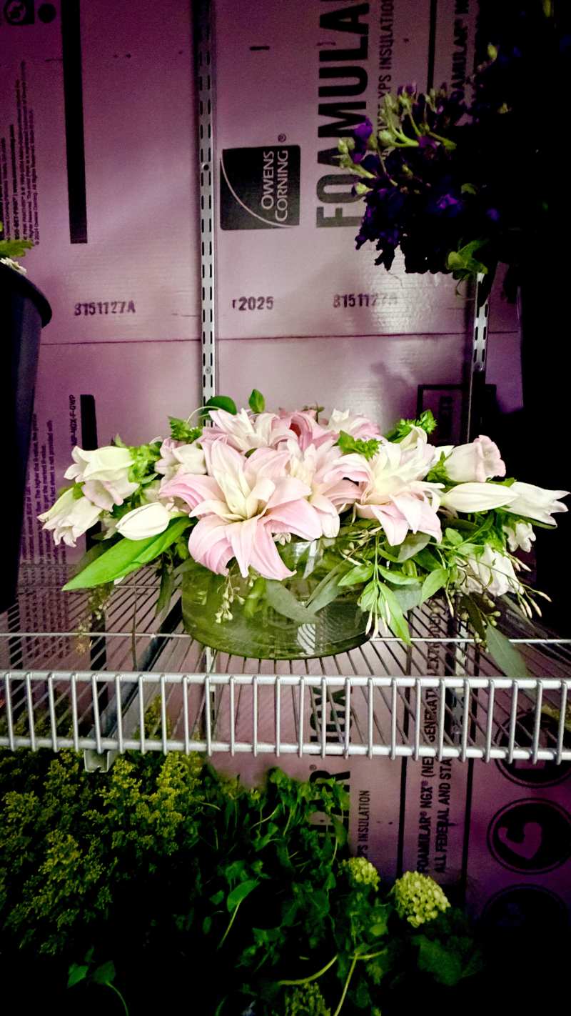 Double Lilies Chilling in the Fridge
