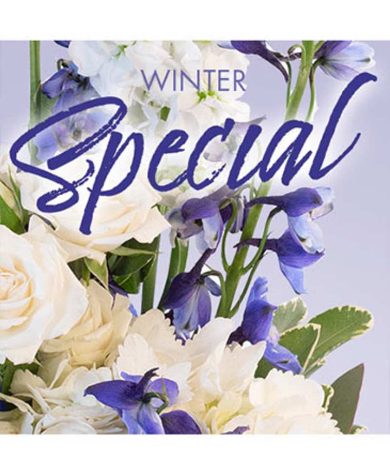 WINTER COLLECTION