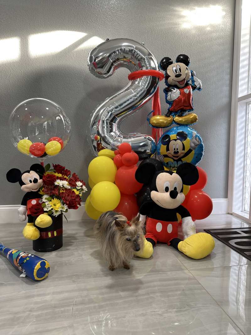 Mickey Mouse Bouquet