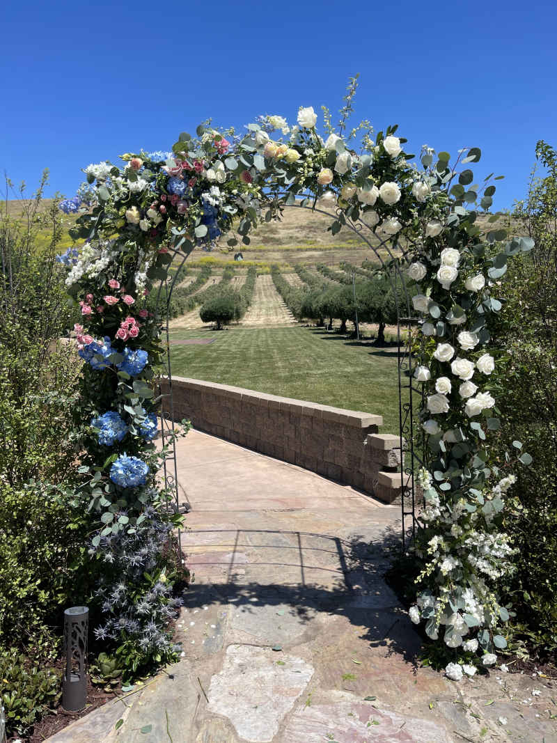 Purple Orchid, Livermore, CA