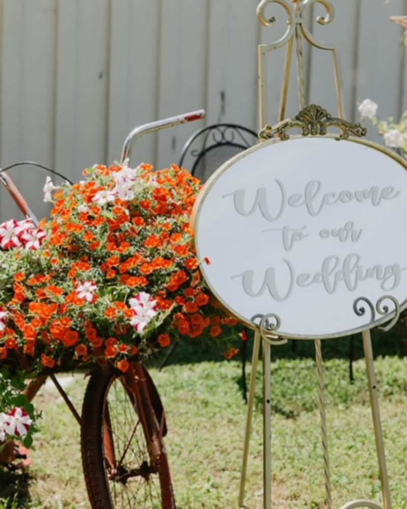 Wild Daisy Wedding May 2024'