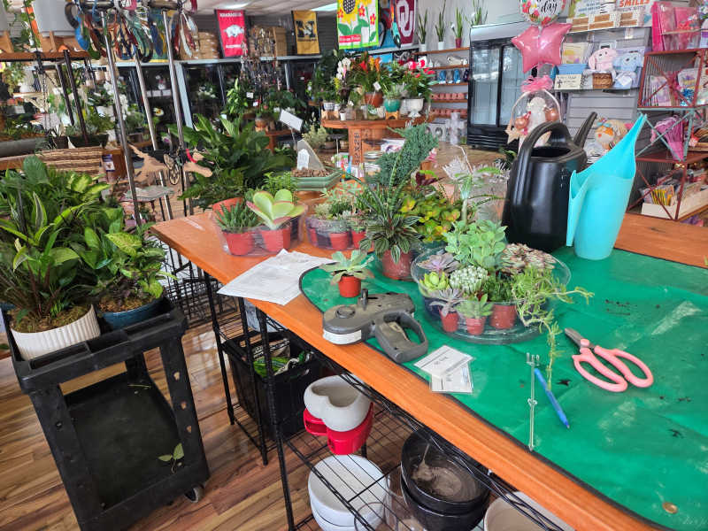 Make your own plant garden