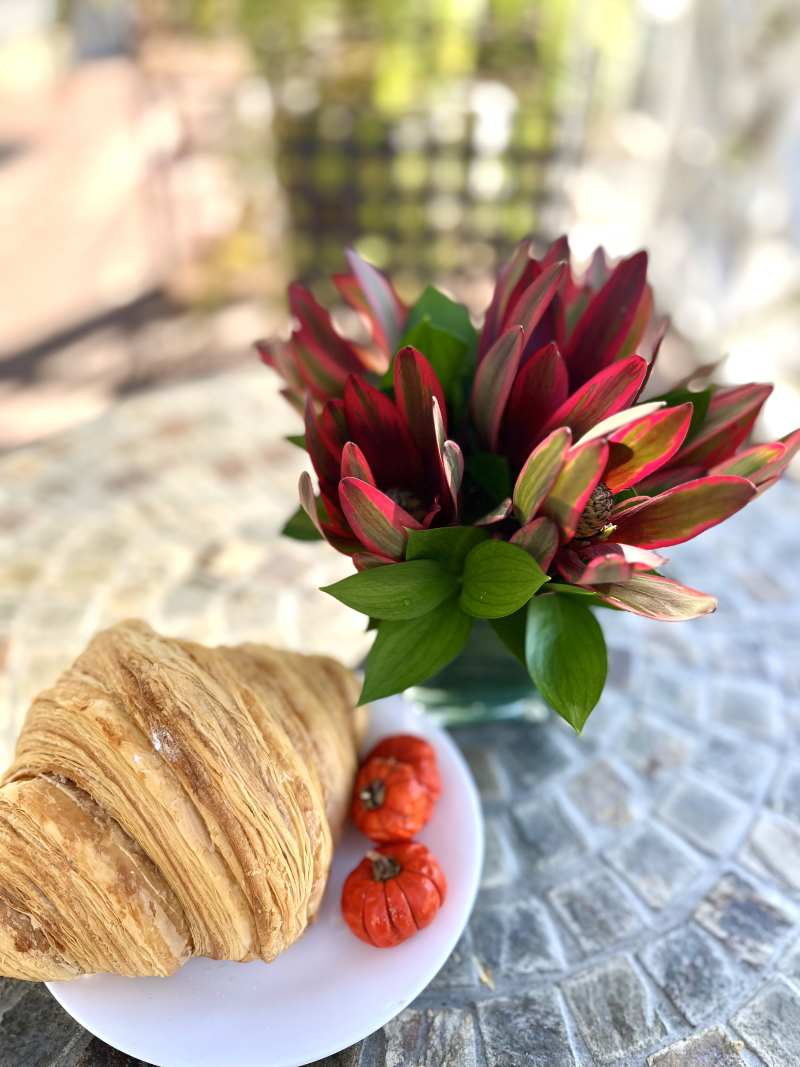 Fall Flowers