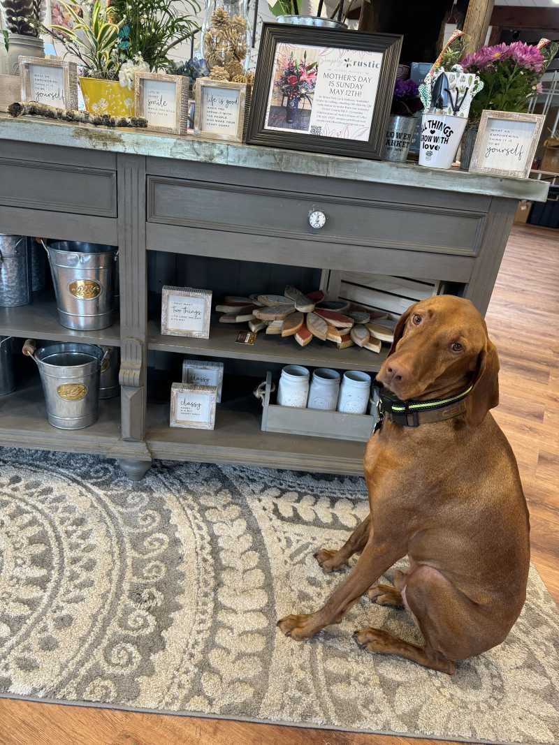 Shop