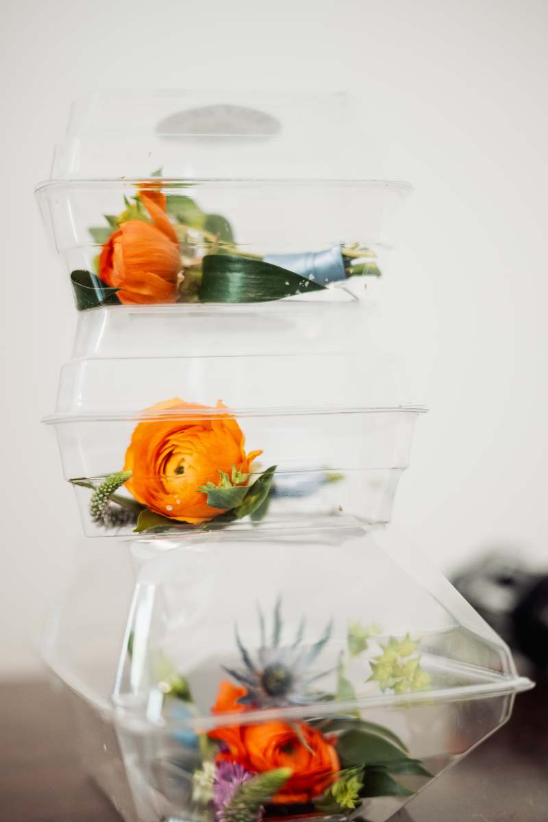 Wedding Photos