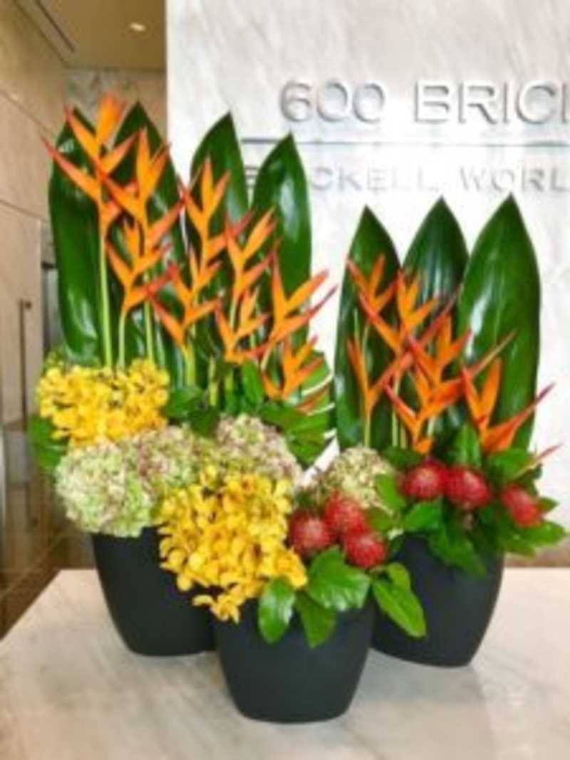  Corporate & Residential Accounts