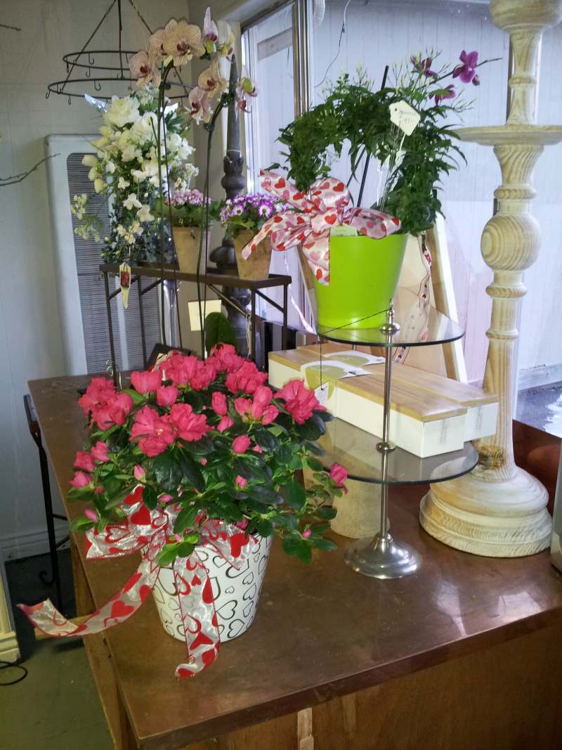 valentines day!
